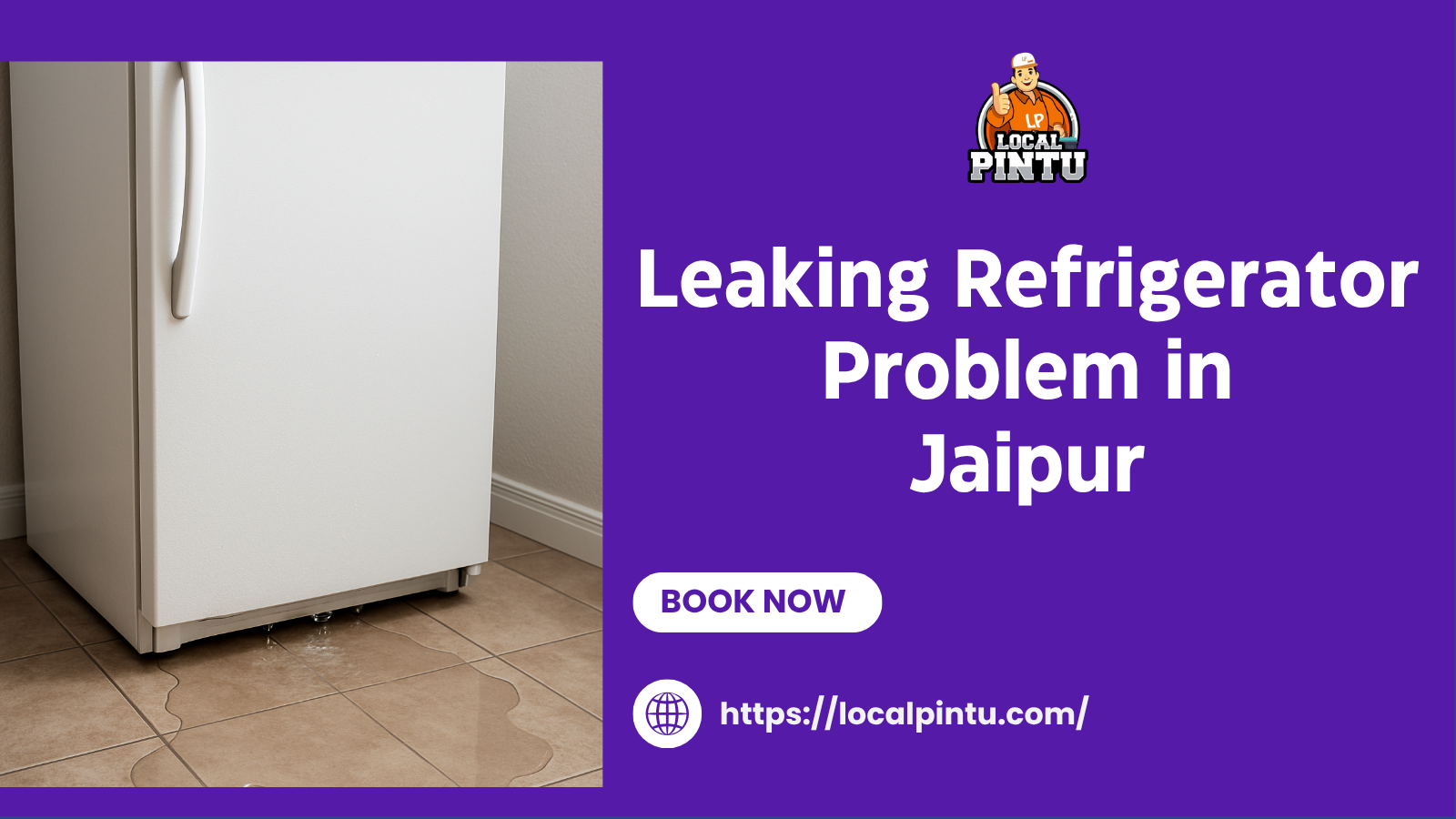 Leaking Refrigerator Problem in Jaipur Image